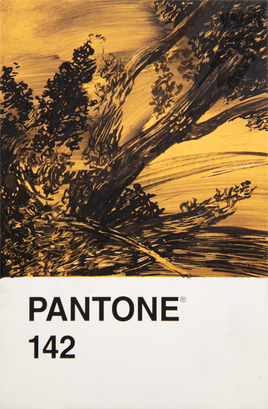 António Faria, PANTONE 142, 2024