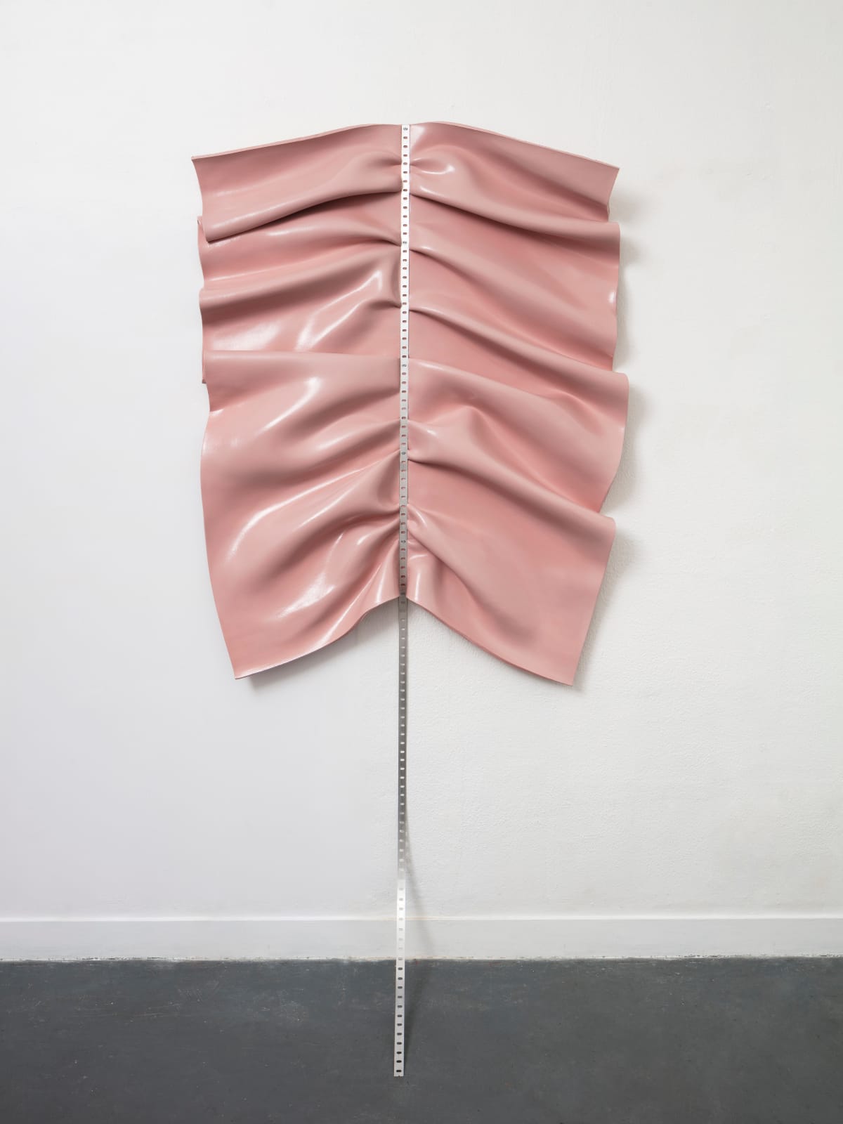 Mariana Dias Coutinho, Peeling them off, 2018