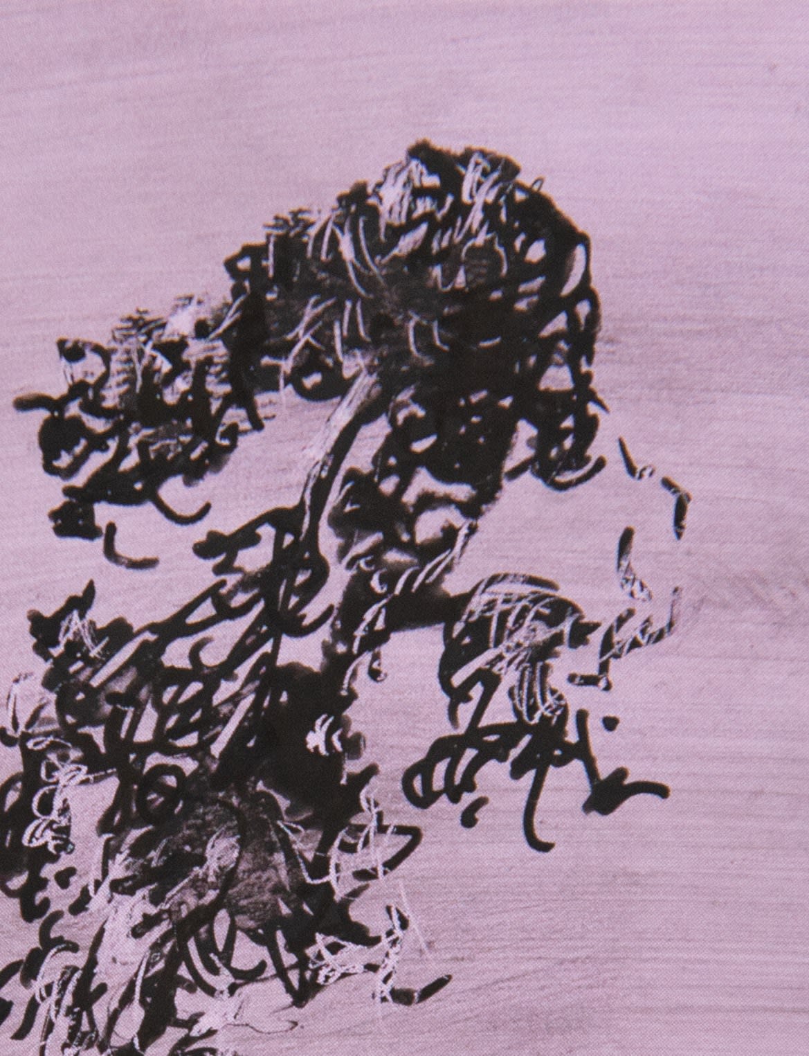 António Faria, PANTONE 14-3612 Orchid Bloom, 2024