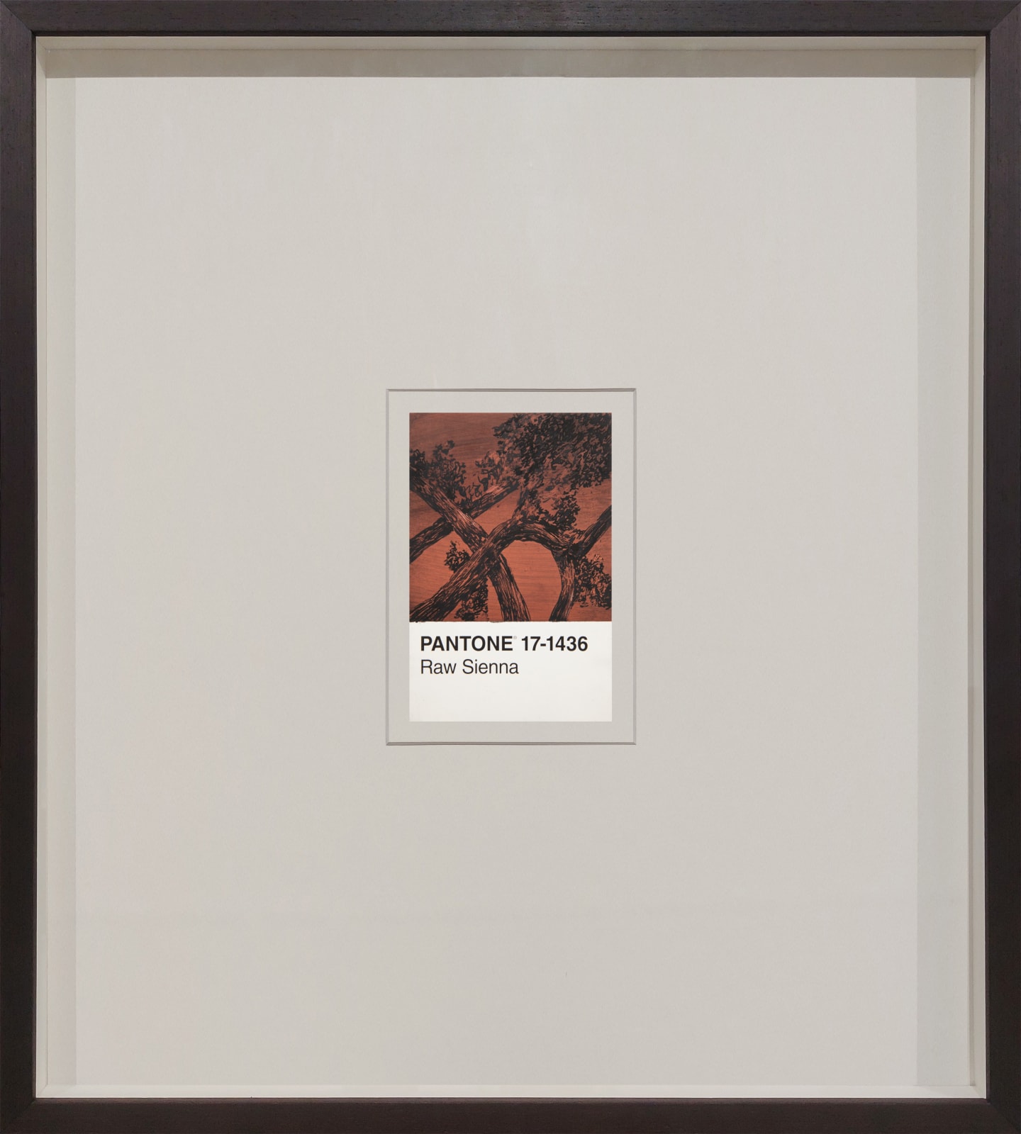 António Faria, PANTONE 17-1436 Raw Sienna, 2024