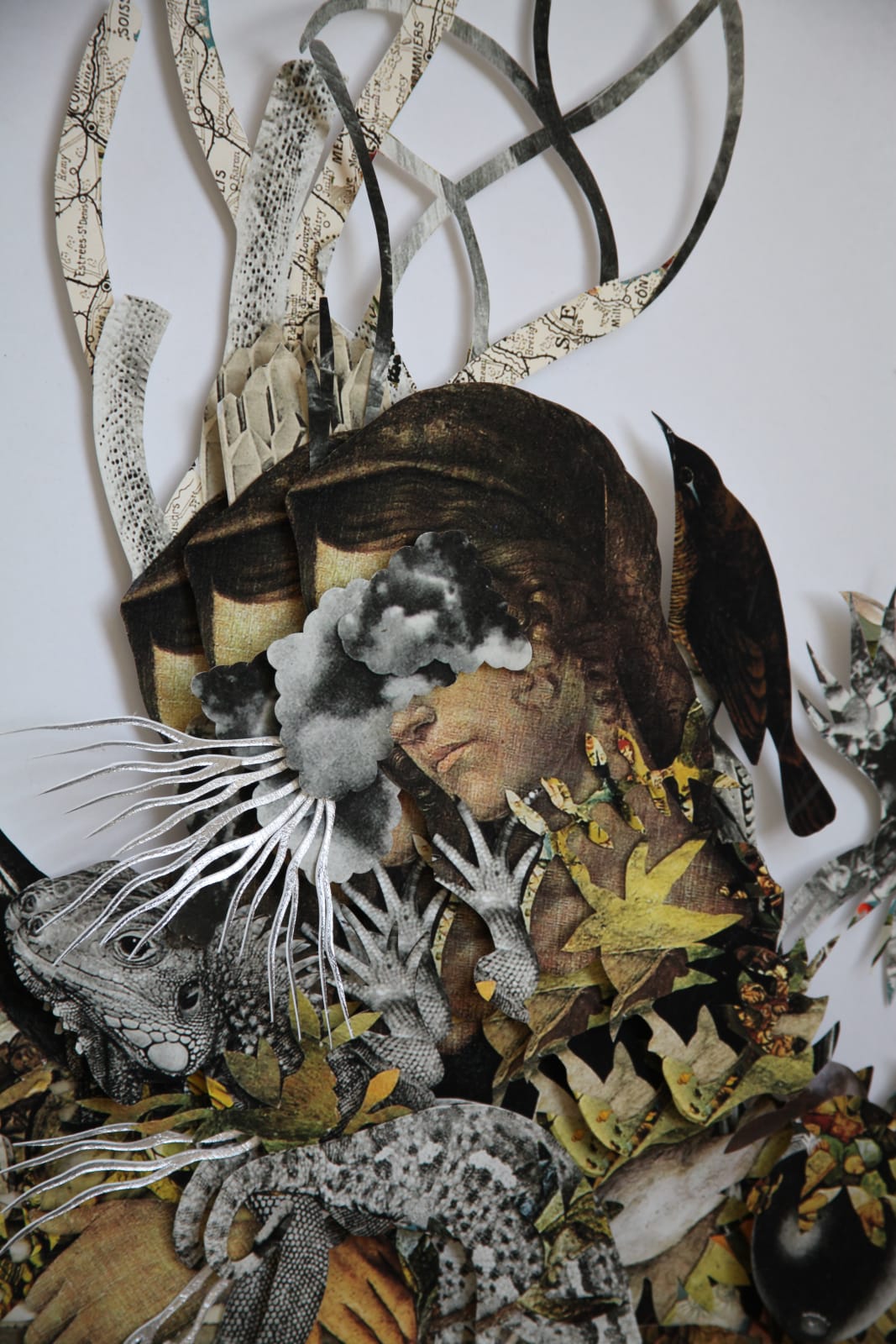 Barbara Wildenboer, Provenance II, 2022