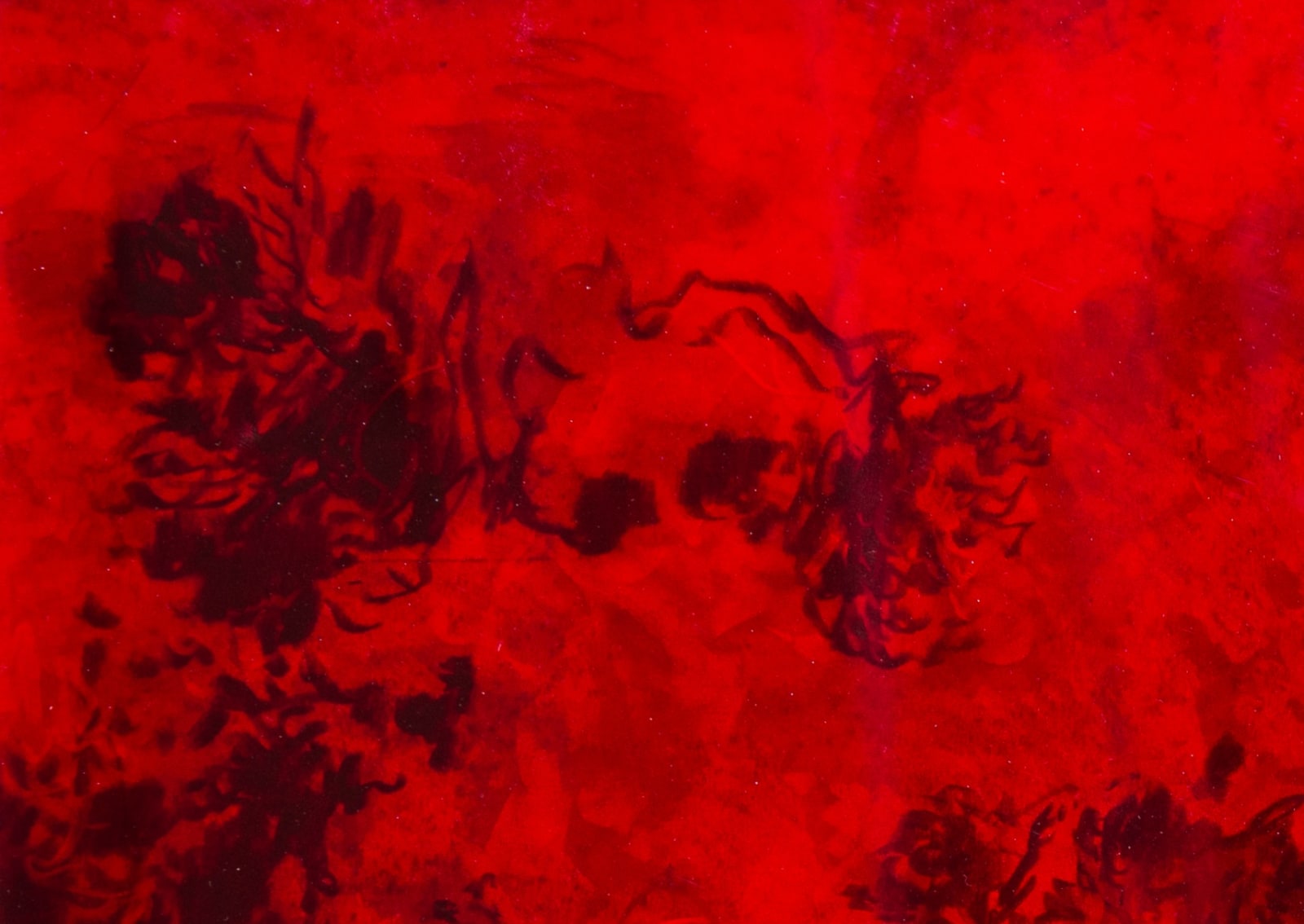 António Faria, A Fuga X, 2024