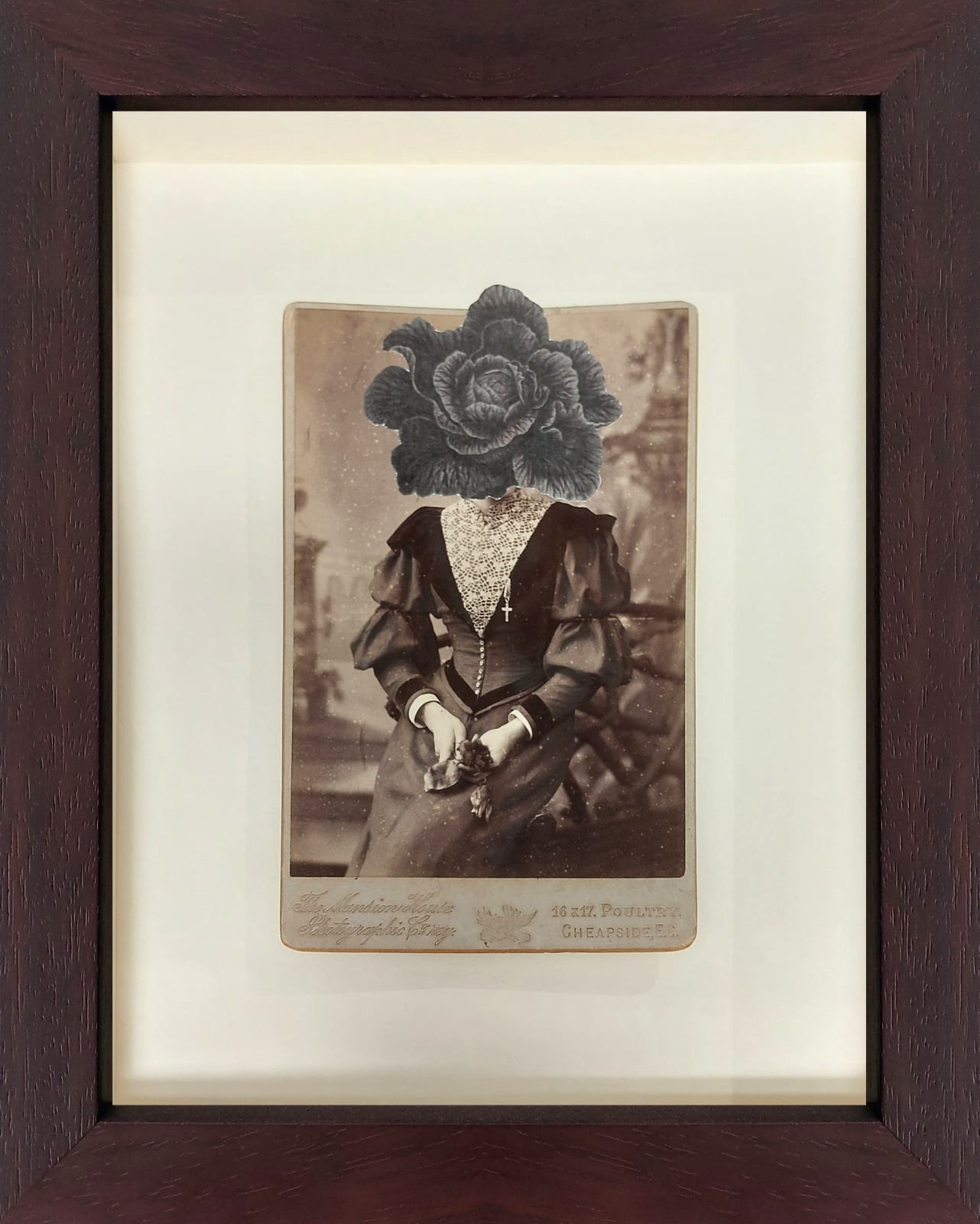 Alida Rodrigues, Strange and Beautiful Bloom series. Brassica oleacea var. capitata, 2020