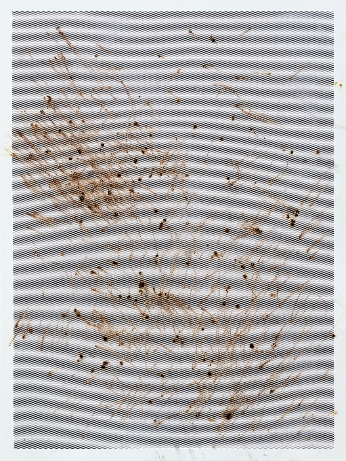 Thomas Wachholz, Honeycomb I, 2024