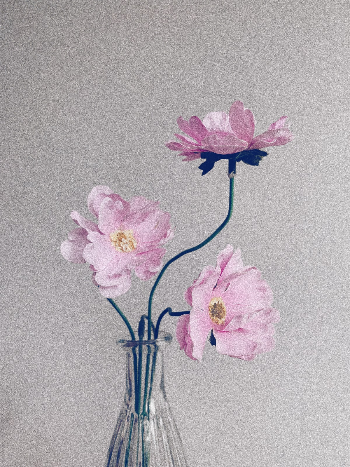Nonzuzo Gxekwa, Untitled (Flower series 12), 2021