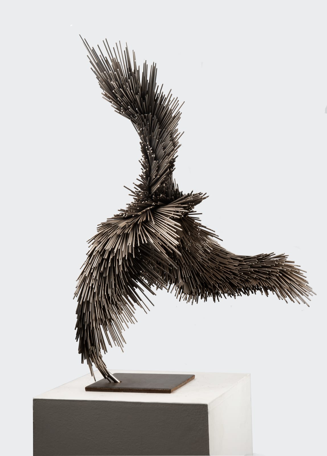 Jake Michael Singer, Murmur and Dive, 2019