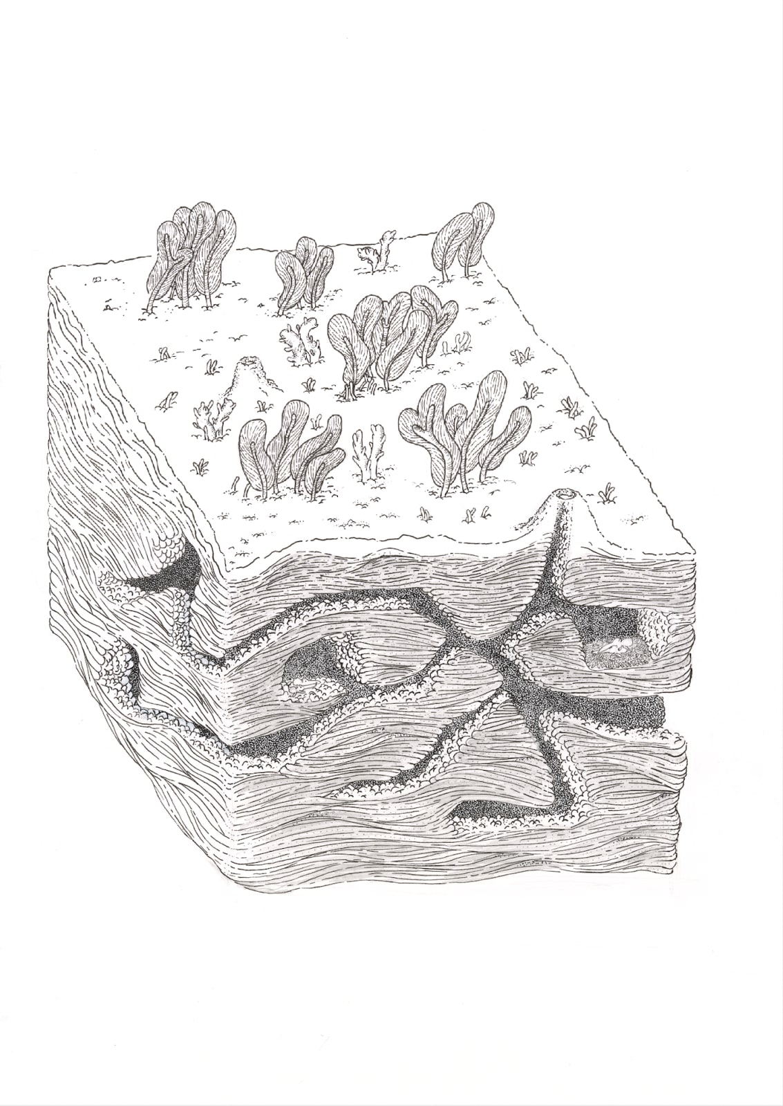 Atang Tshikare, Go Dirêlwa Mo Sephiring ('Underground Secret'), 2019