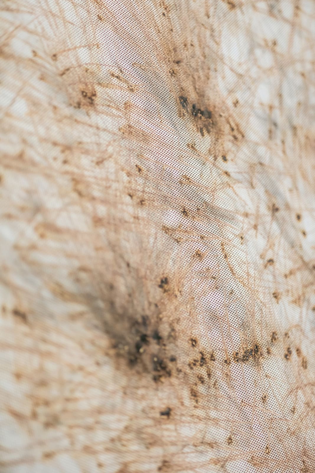 Thomas Wachholz, Matches 4, 2017