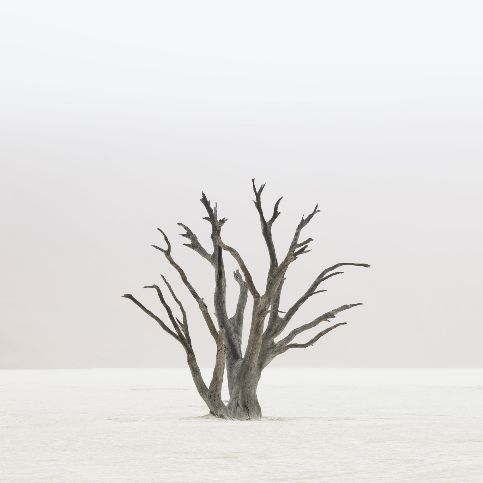 Tom D. Jones, Benguela, 2018