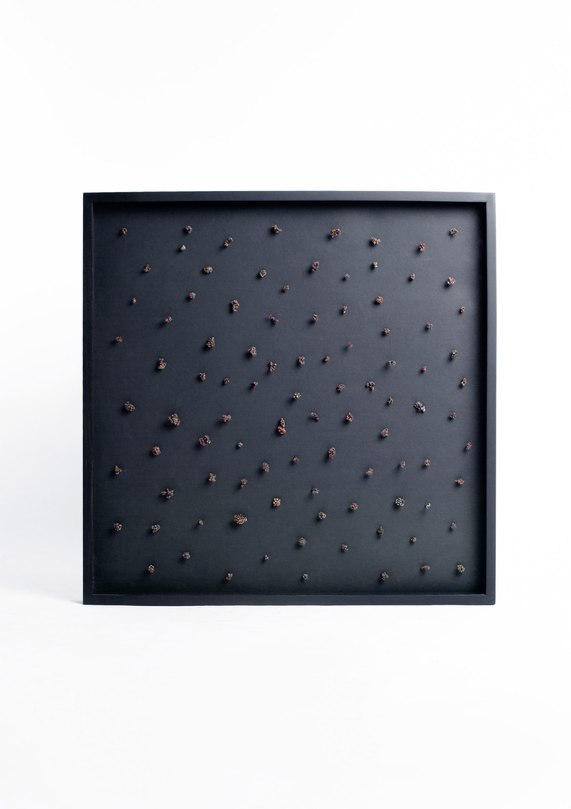 Driaan Claassen, Star studded nights, 2021