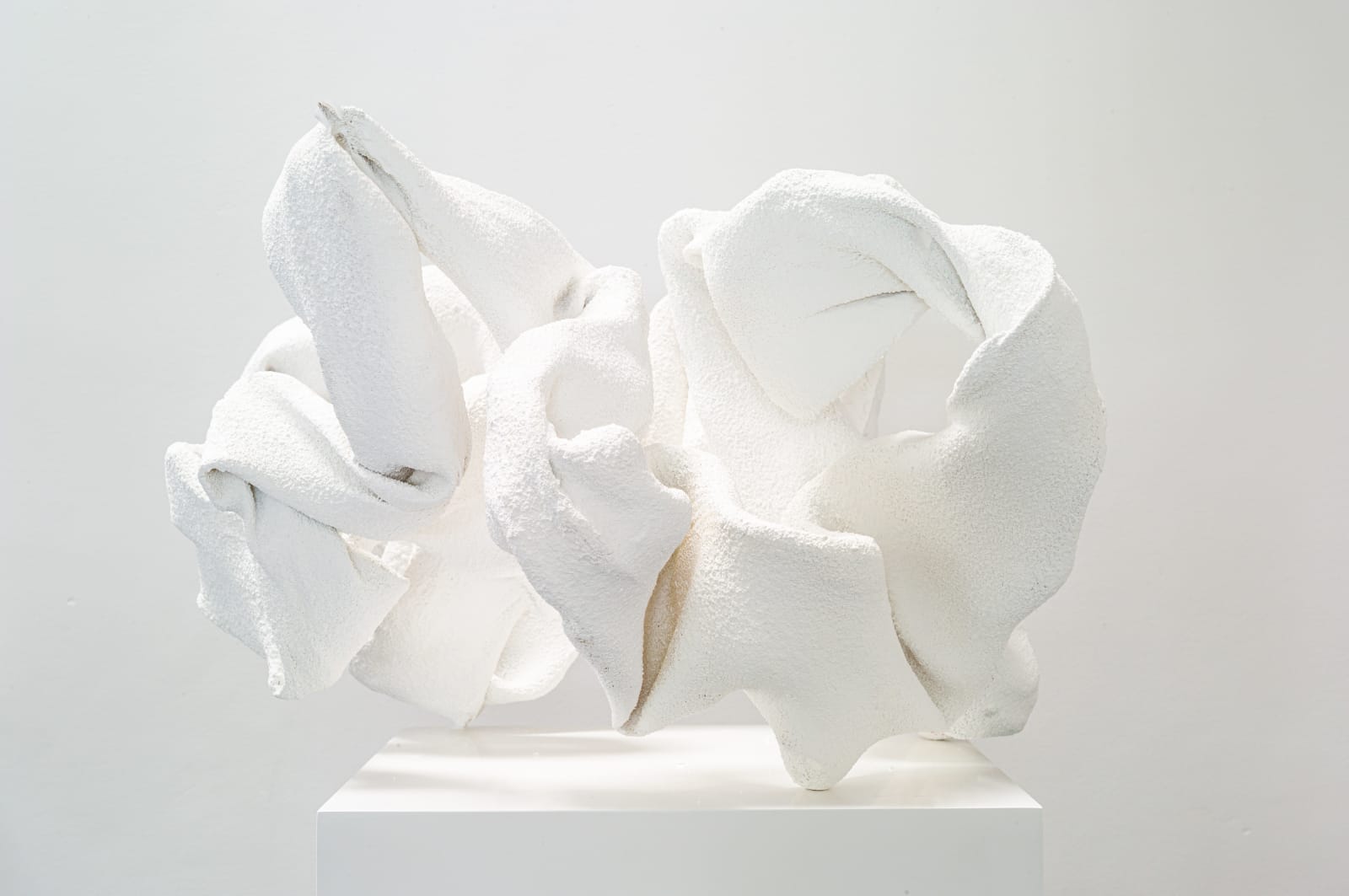 David Brits, Pyrrhic Victories From the Sinusoidal Nebulous Series, 2021-2023