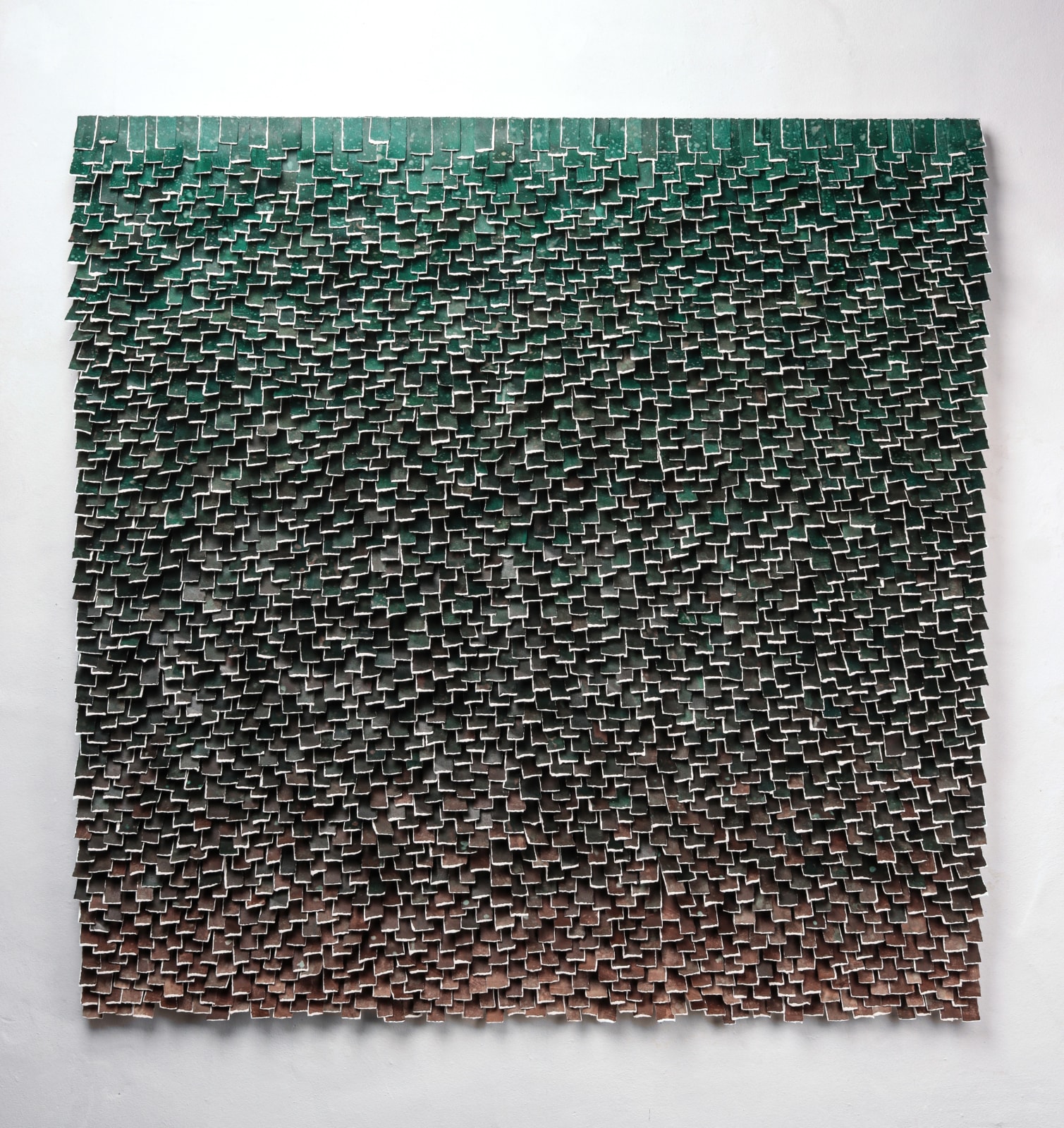 Karla Nixon, Edge, 2025