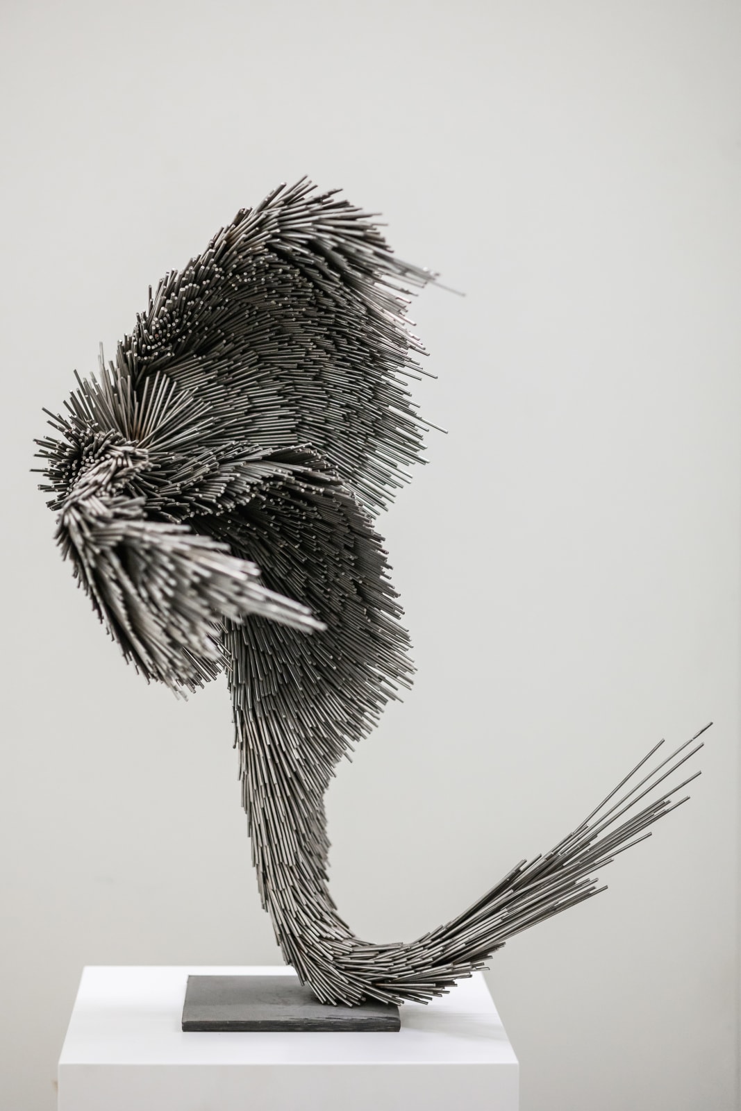 Jake Michael Singer, Lucky Murmur, 2021