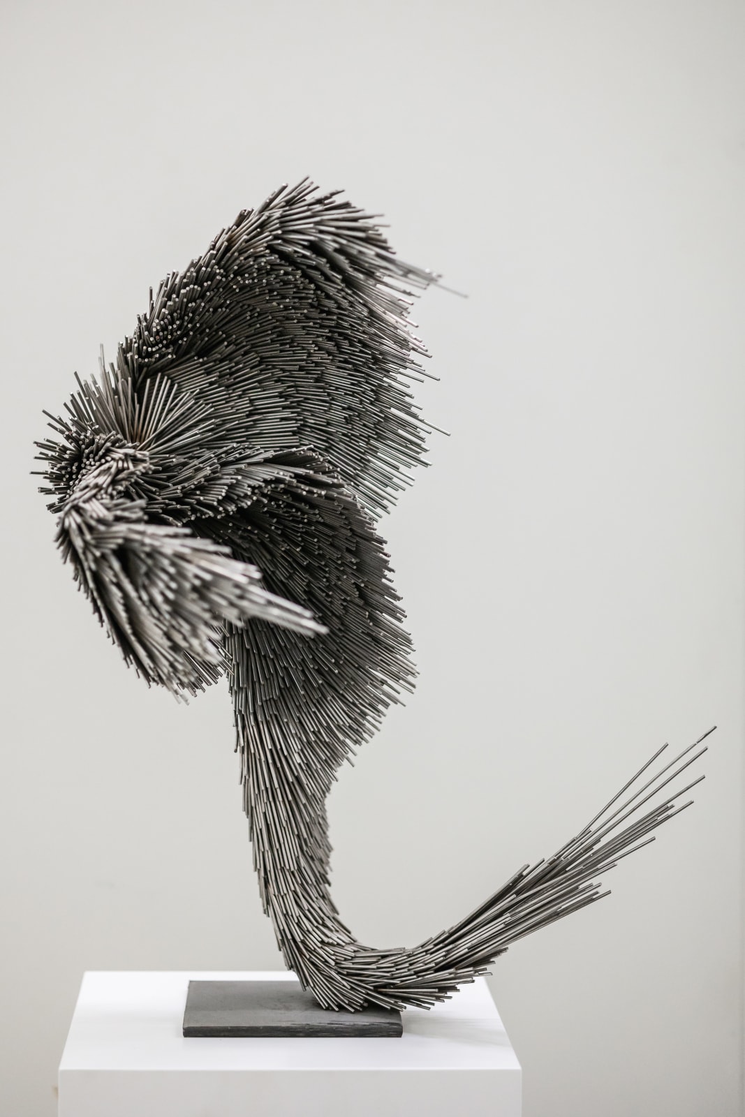 Jake Michael Singer, Untitled, 2024