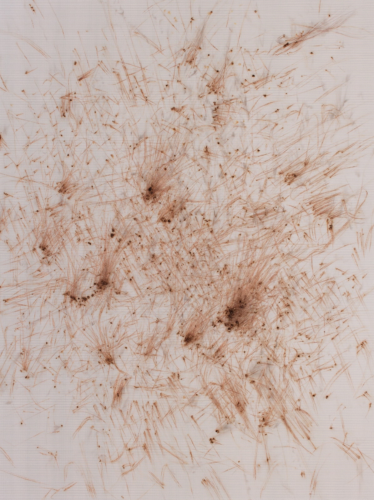 Thomas Wachholz, Matches 5, 2017