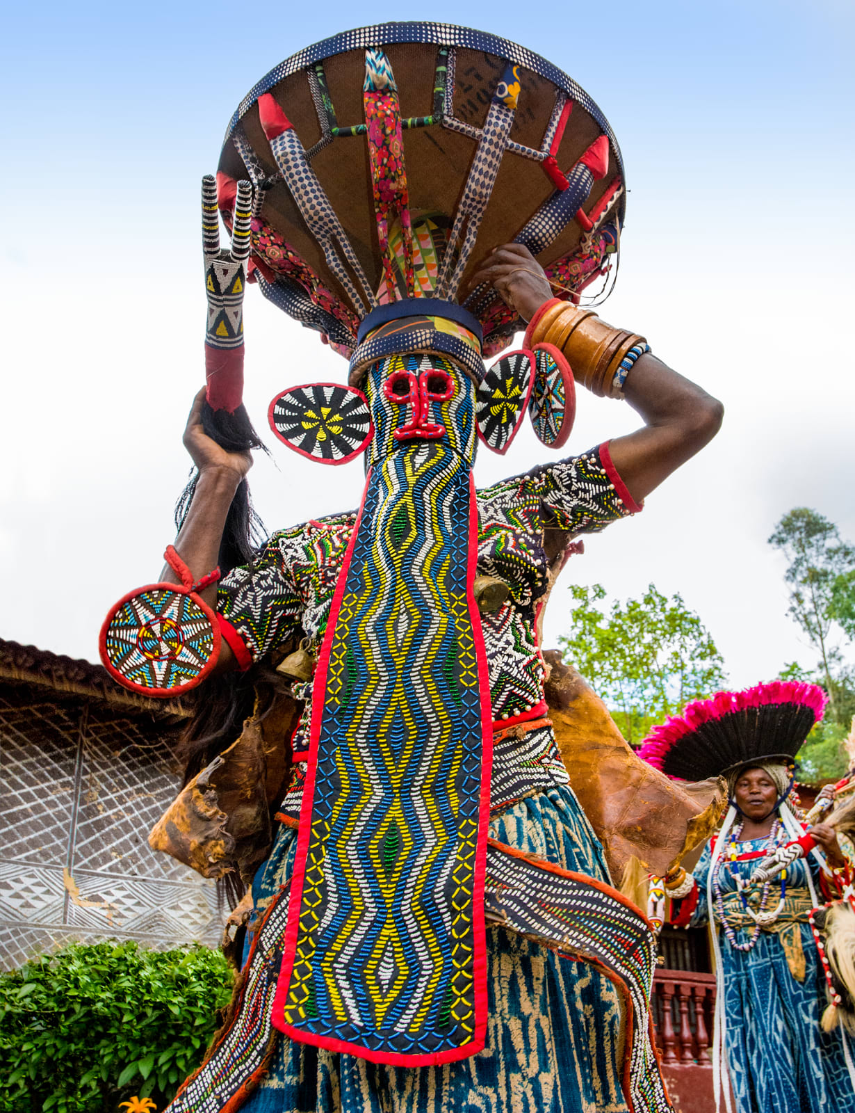 Carol Beckwith and Angela Fisher, Bamileke Elephant Mask, Cameroon, 2014
