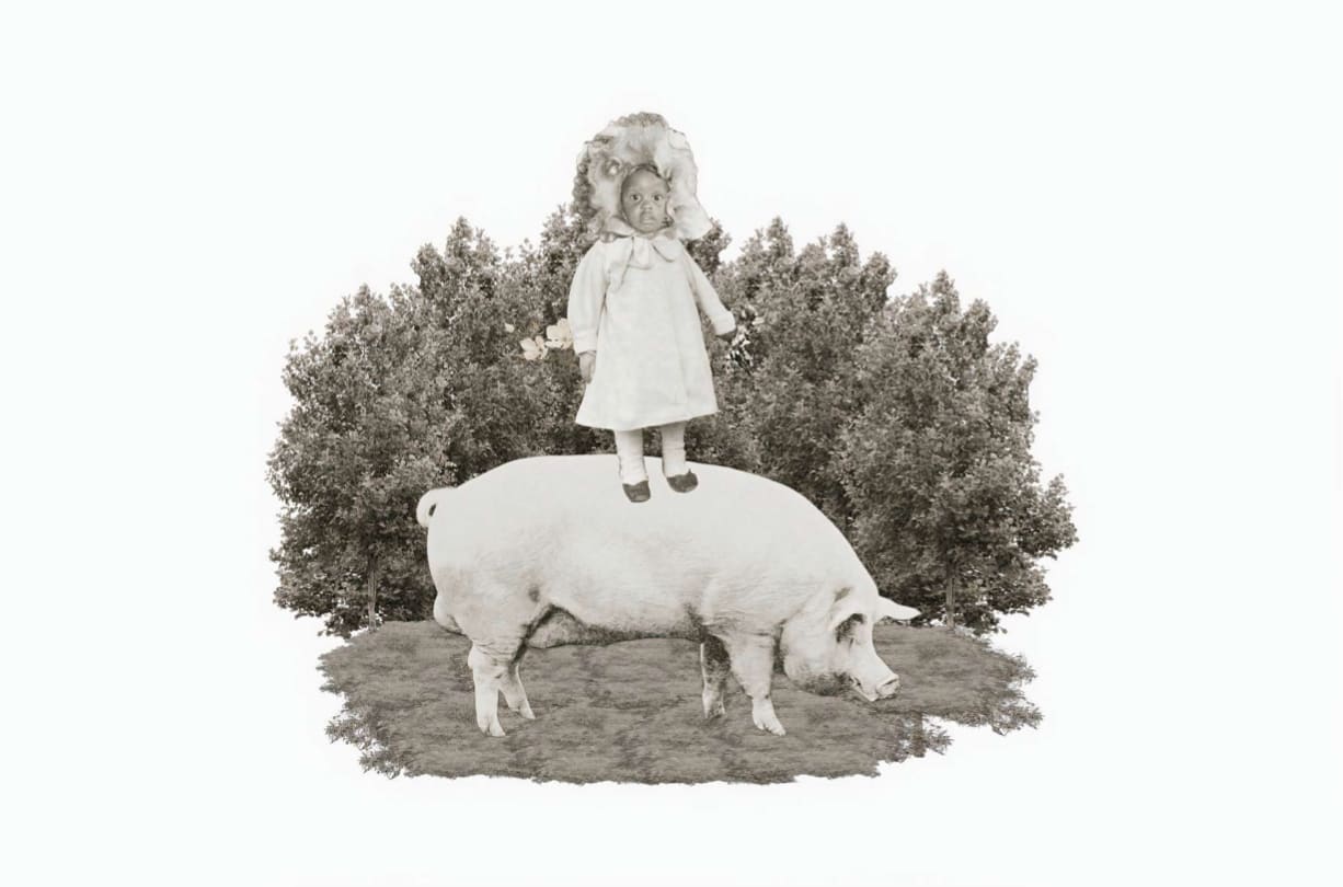 Tshepiso Moropa, The Girl and The Pig, 2025