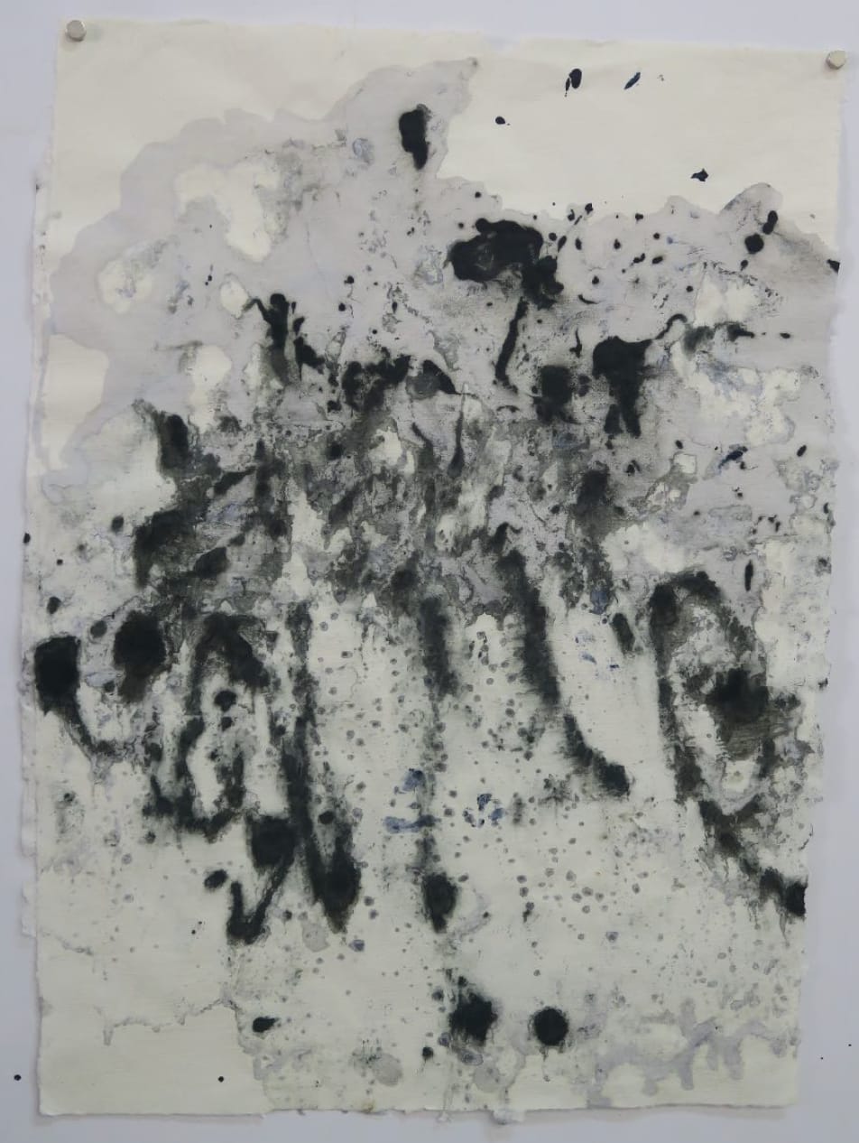 Fatima Tayob Moosa, Residual Impact 2, 2019