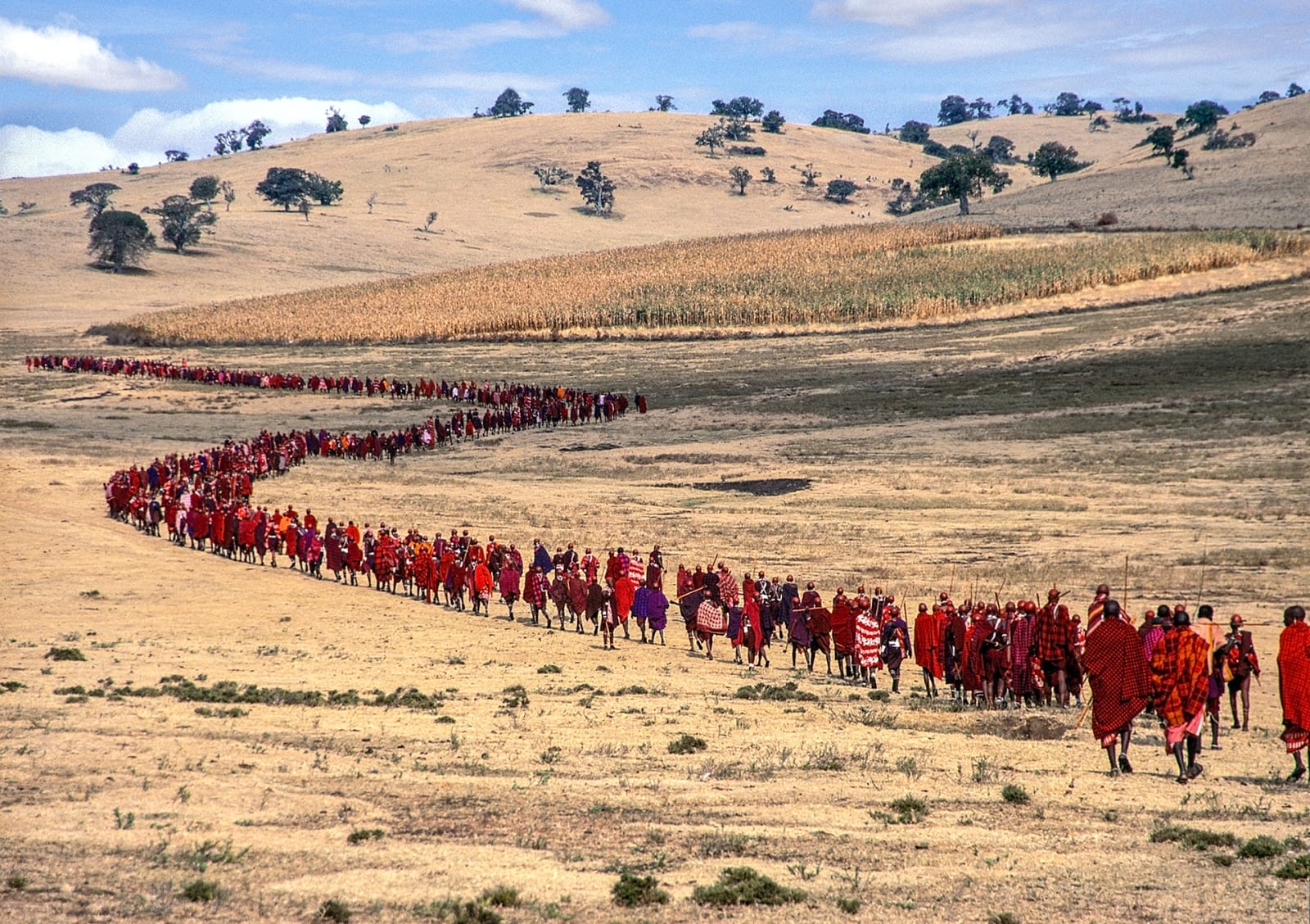Carol Beckwith and Angela Fisher, Salei Maasai Warriors Approach the Ceremonial Manyatta, Tanzania, 2006