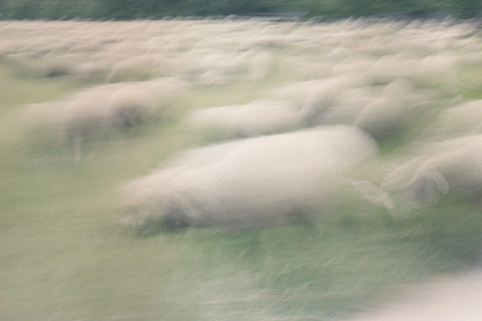 Kuba Freter, Untitled 05, 2023