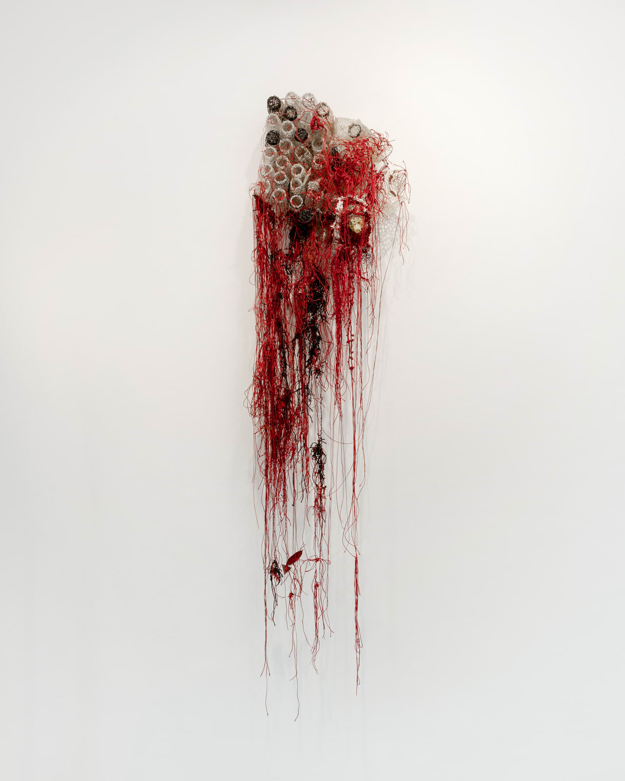 Pardon Mapondera, Silent Noise, 2019