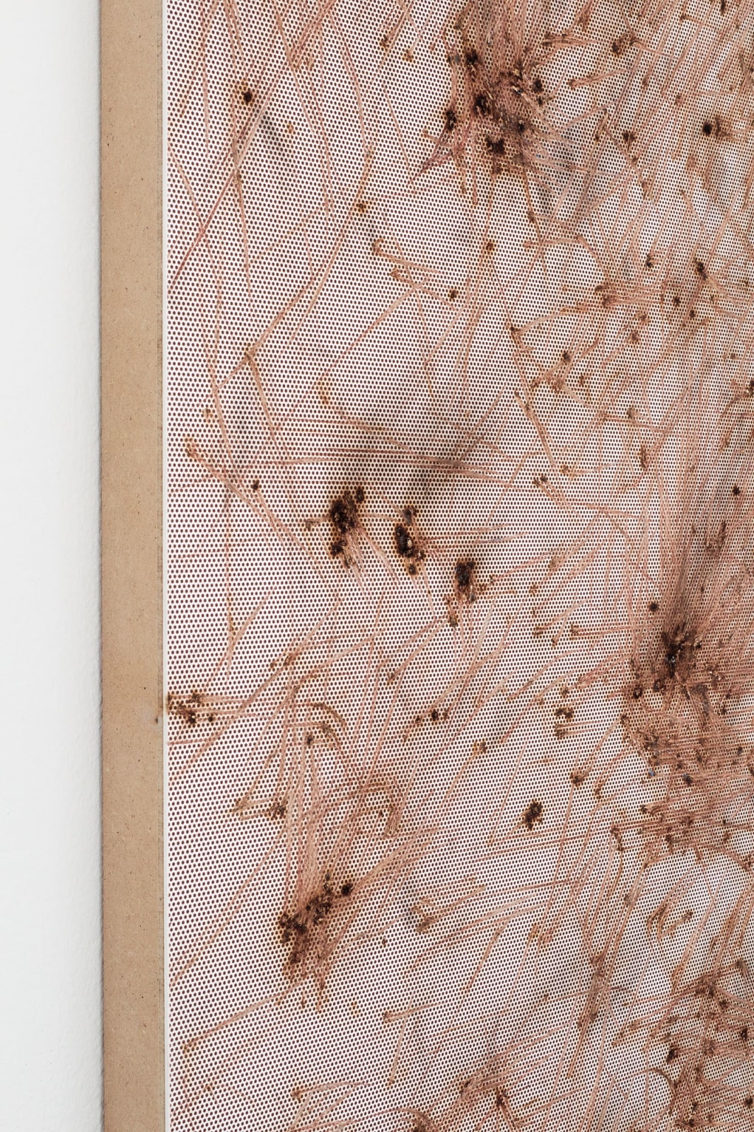 Thomas Wachholz, Matches 6, 2017