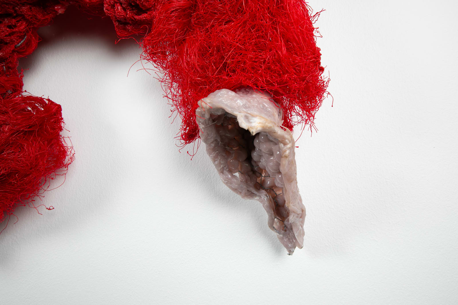 Julio Rizhi, Mapping the Now, Part 1, 2020