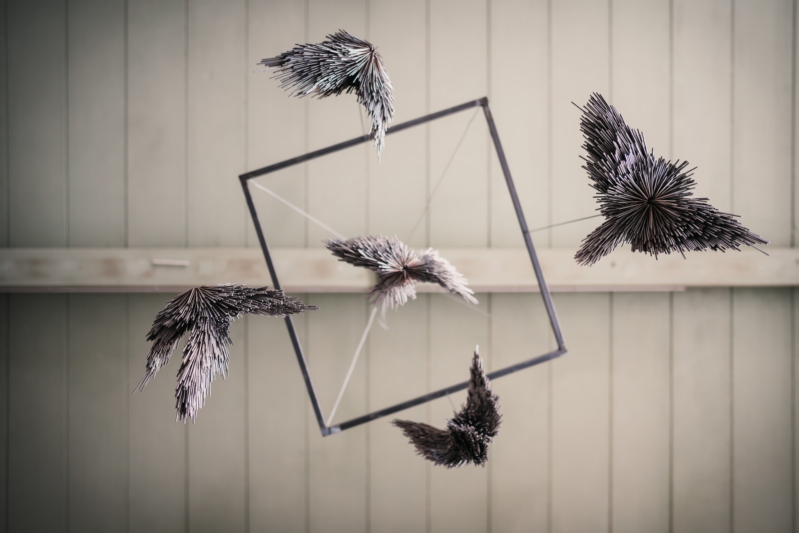 Jake Michael Singer, Small hanging Murmurs, 2019