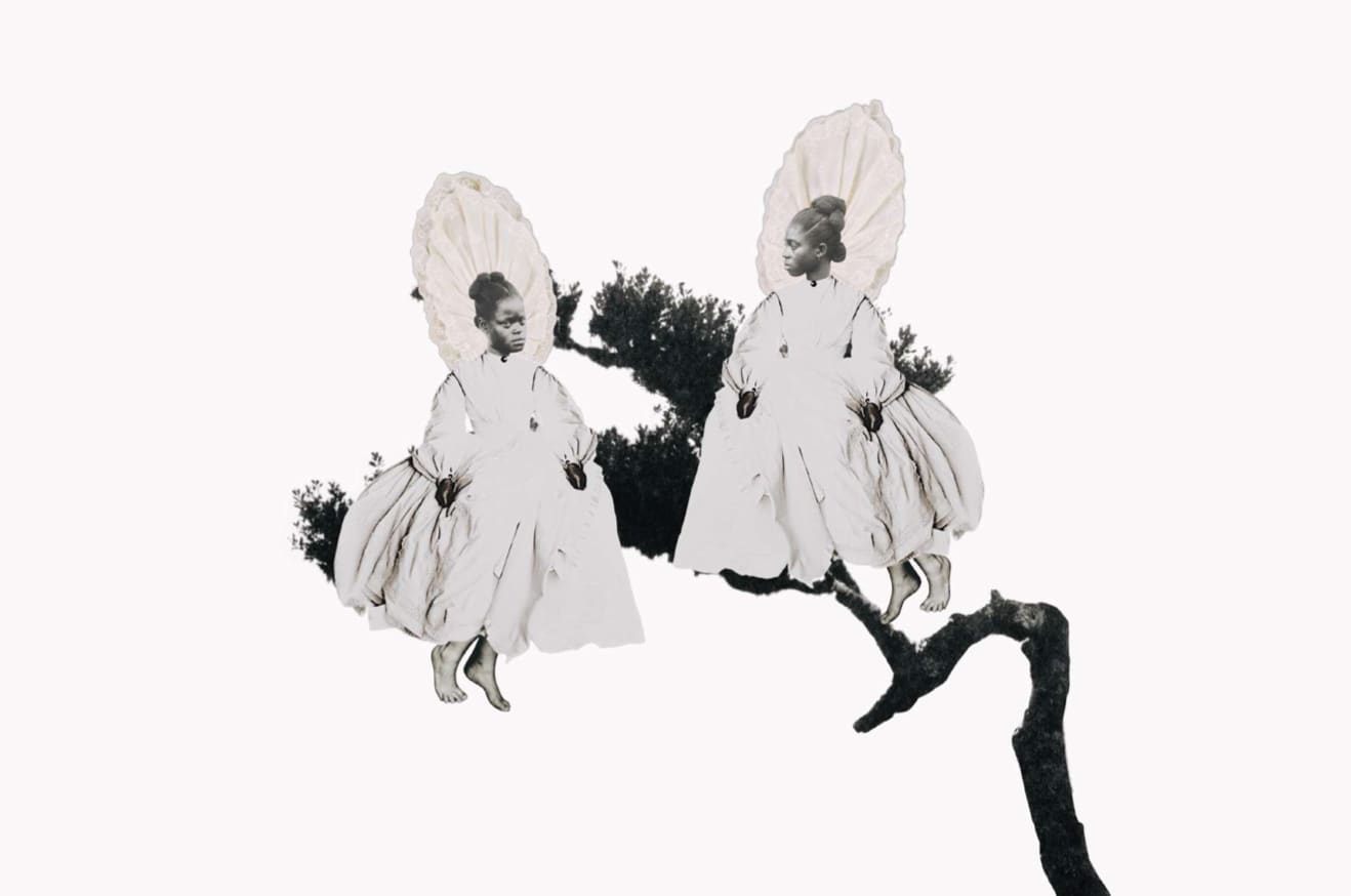 Tshepiso Moropa, Stranger Fruit, 2025