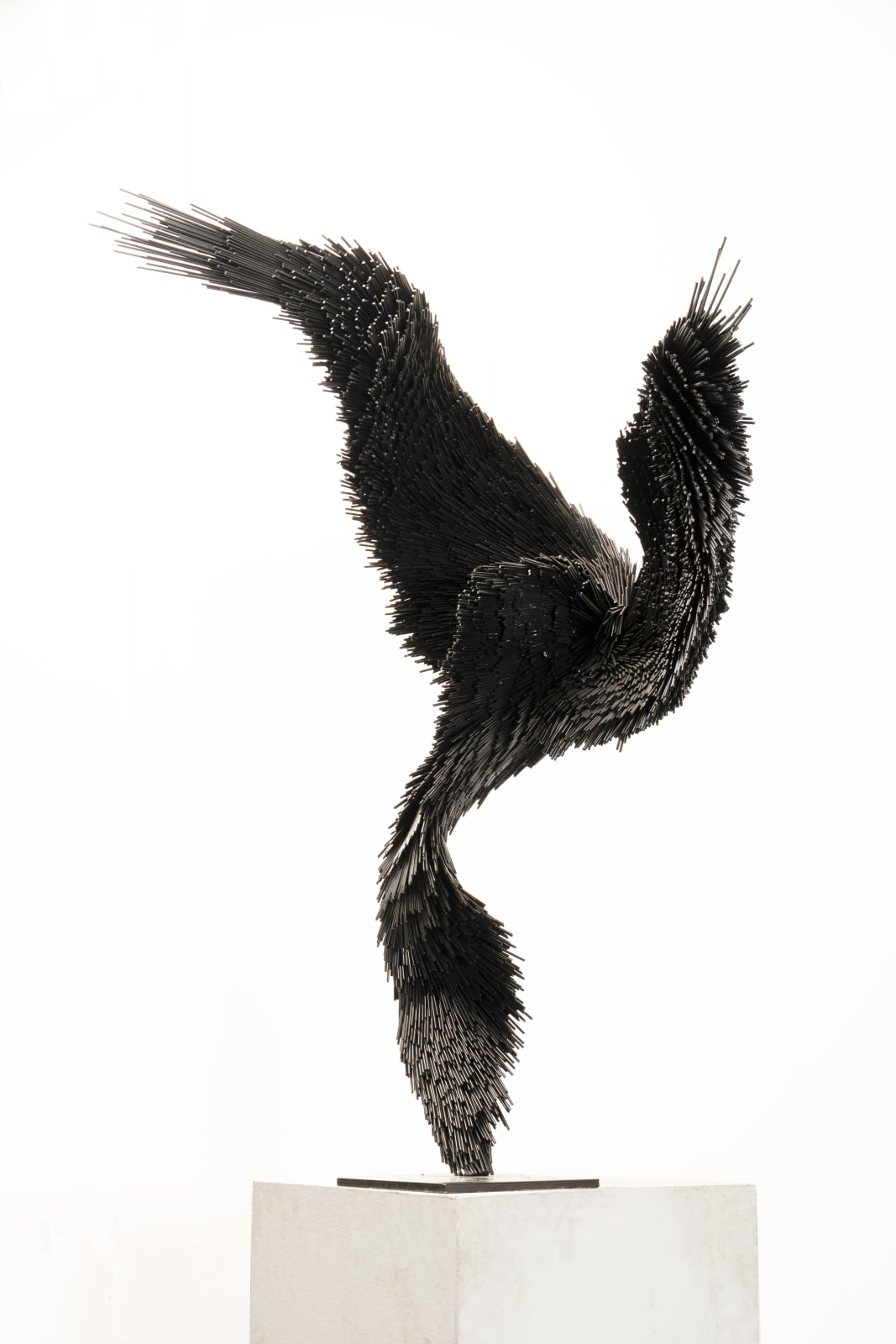 Jake Michael Singer, Penumbra, 2020