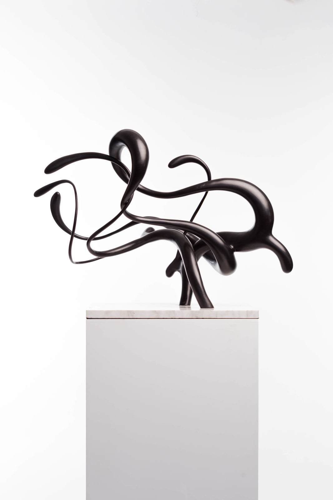 Driaan Claassen, Are you sure?, 2024