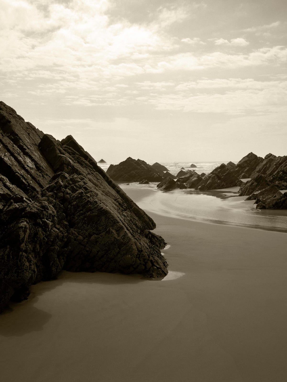 Johno Mellish, Landscape, 2022