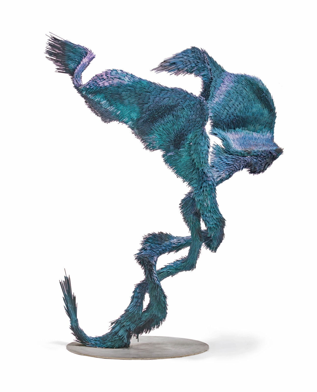 Jake Michael Singer, Knowing Murmur 5, 2024