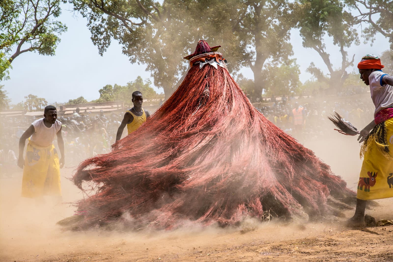 Carol Beckwith and Angela Fisher, Yoruba Voodoo Mask, Burkina Faso, 2014