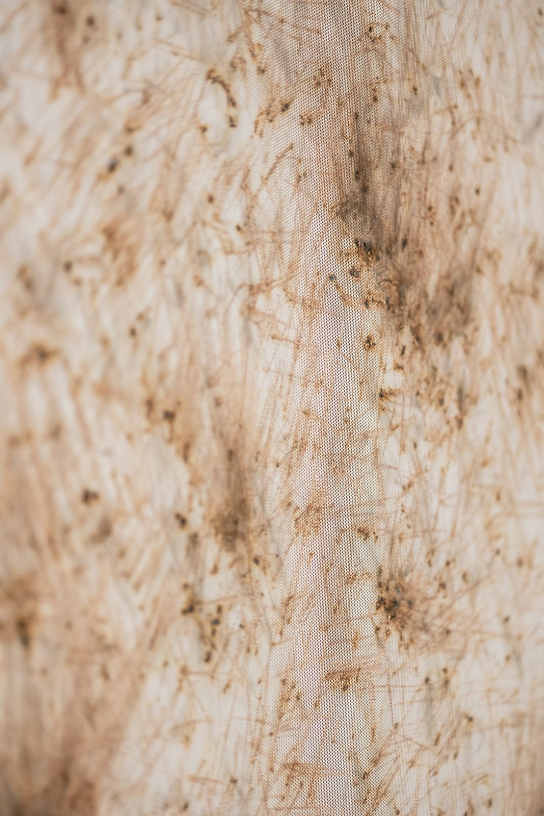 Thomas Wachholz, Matches 4, 2017