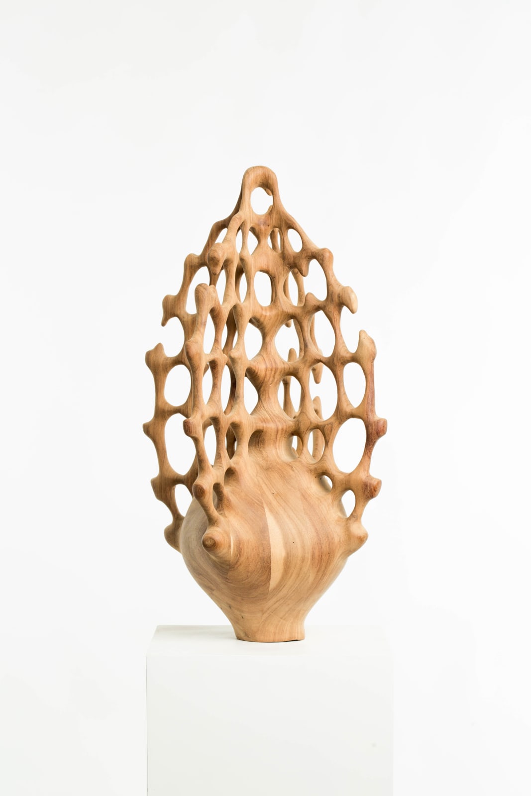 Karlien van Rooyen and Driaan Claassen, Dust in a beam of light, 2023