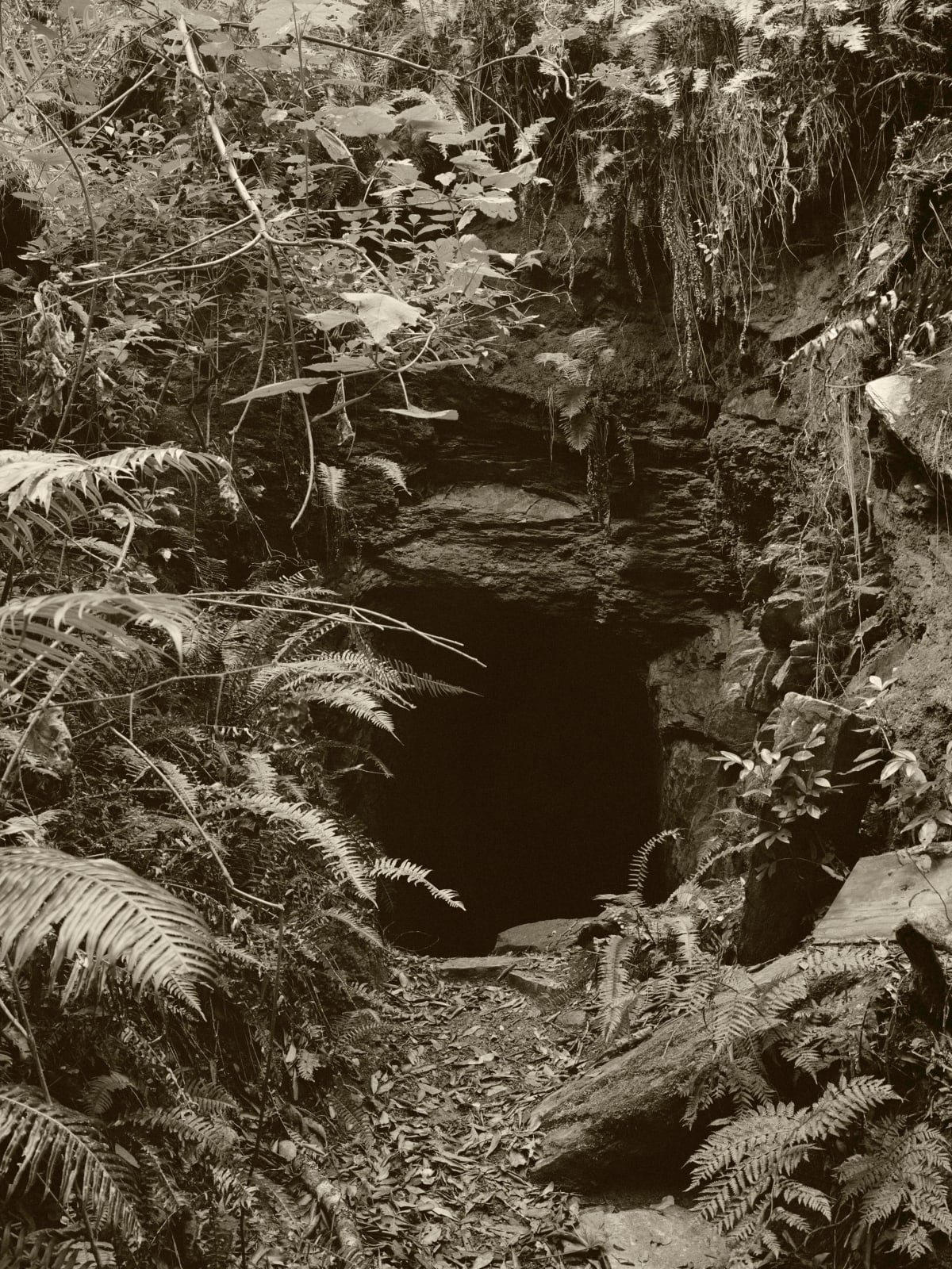 Johno Mellish, Mine Shaft, 2022