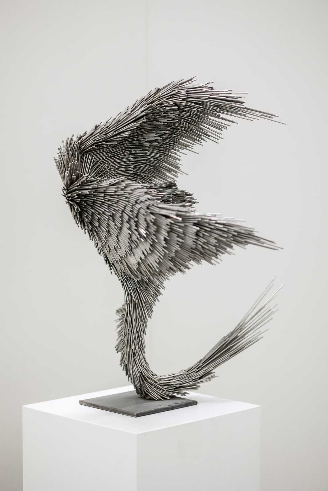 Jake Michael Singer, Untitled, 2024