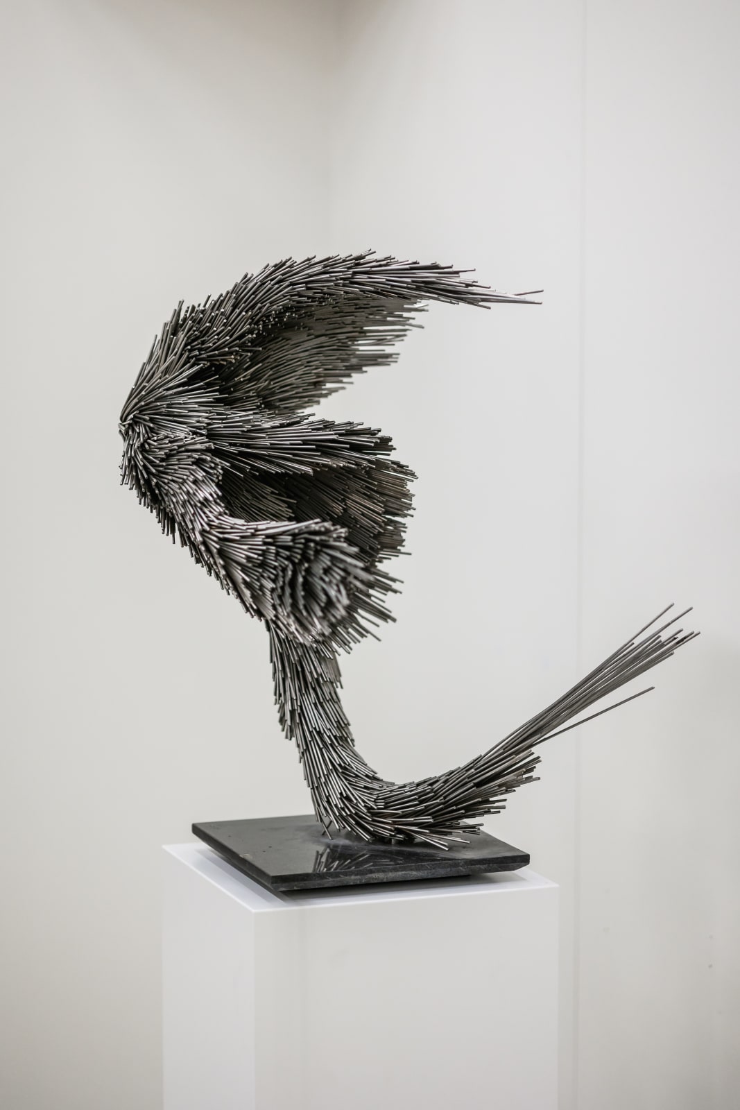 Jake Michael Singer, Untitled, 2024