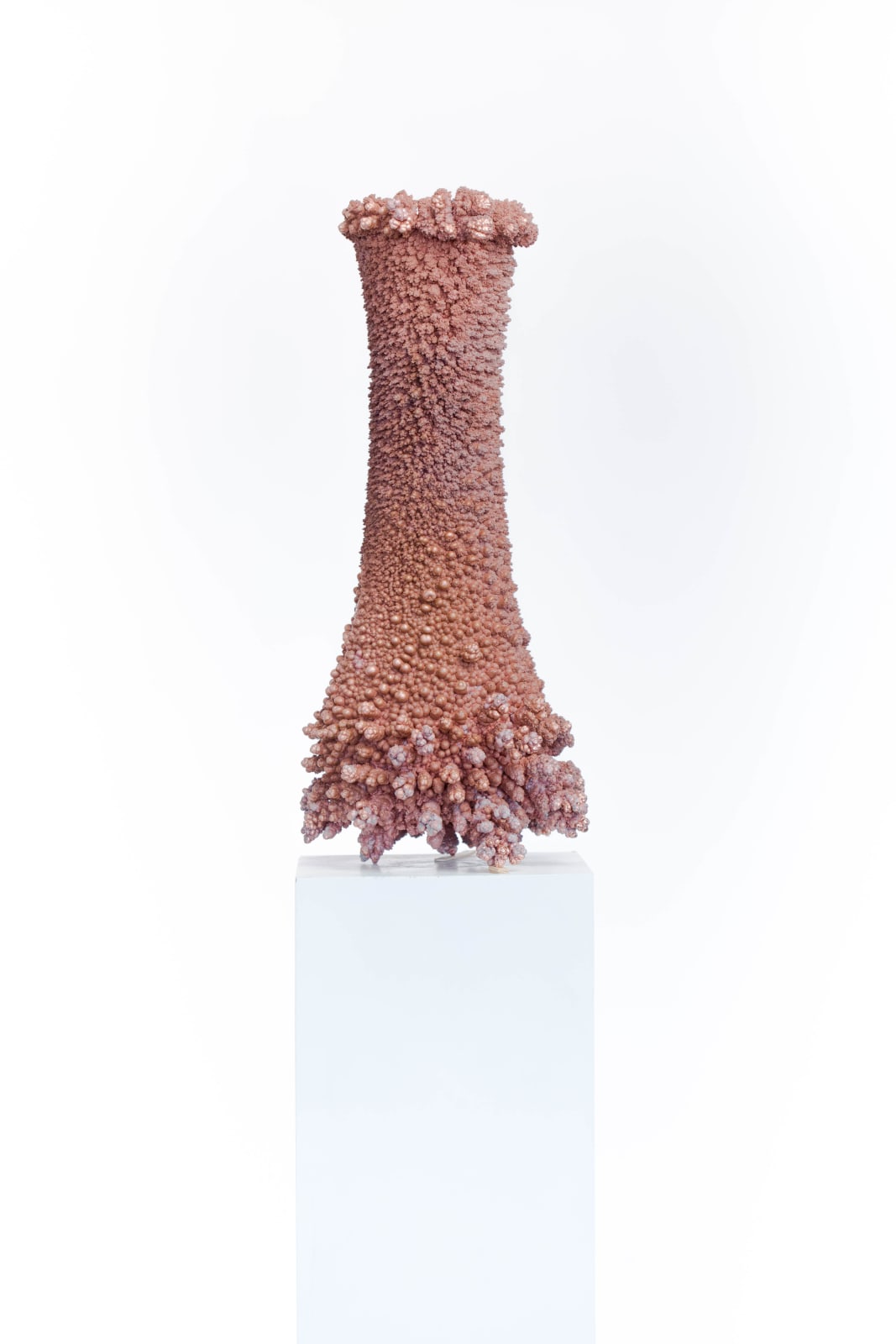 Driaan Claassen, My first steps, 2022