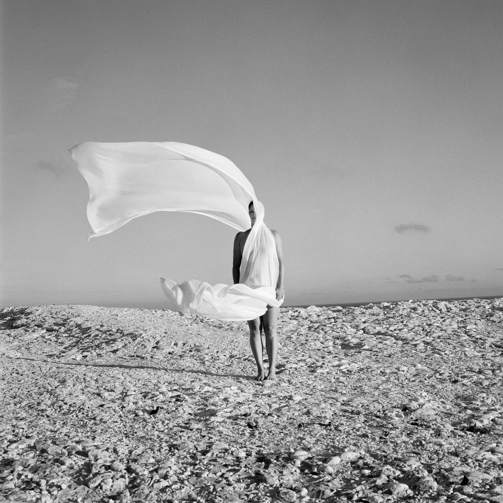 Stephanie Blomkamp, Untitled 10, 2014/15