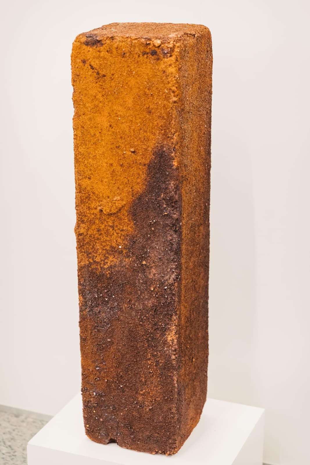 Jan Scharrelmann, Rusty Cage II, 2012