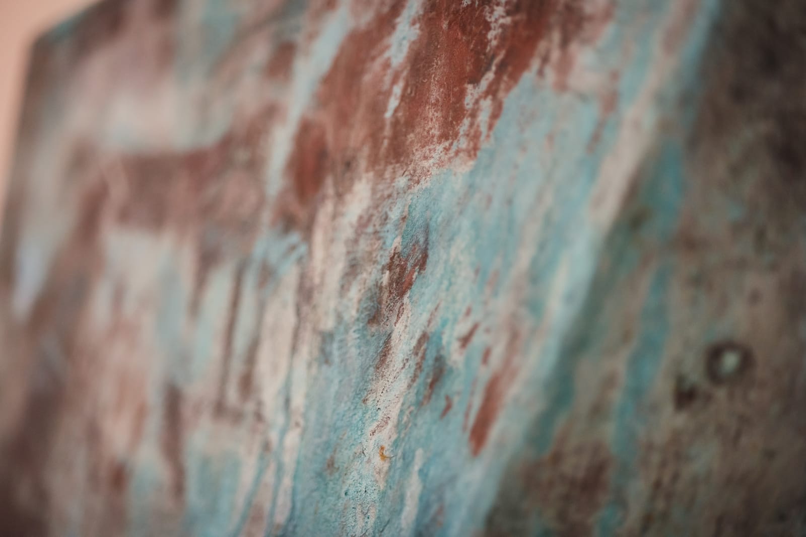 Jan Scharrelmann, Solitude, 2021