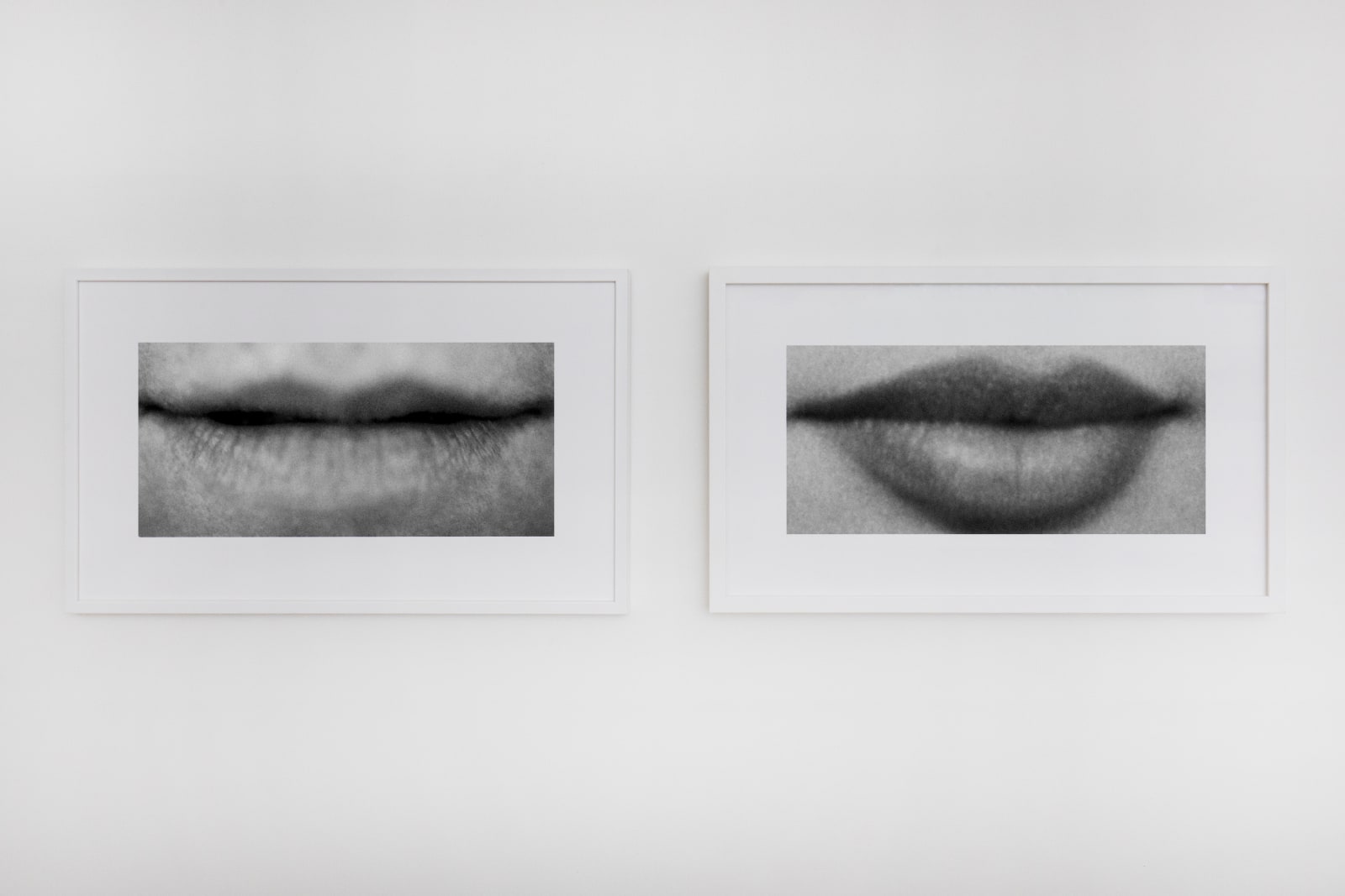 Sam Samore, SCHIZOPHRENIC BEAUTY (CONTINUED)(#18), 2025