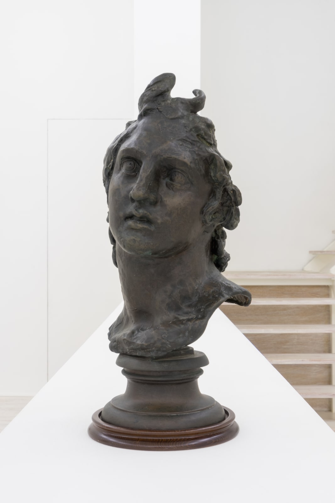 Vincenzo Gemito, Testa di Alessandro Magno, XX sec.