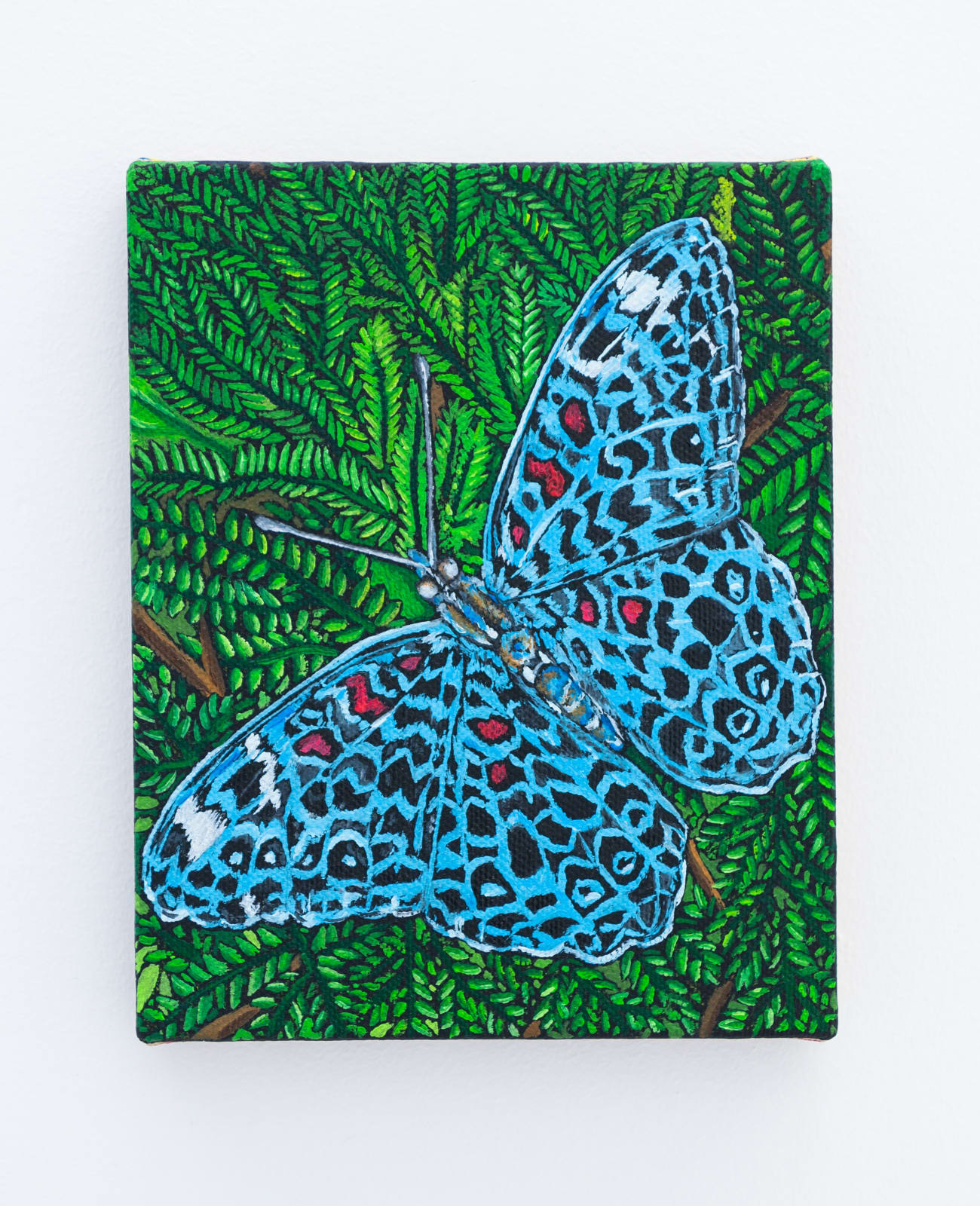 Matteo Callegari, Messenger, 2022