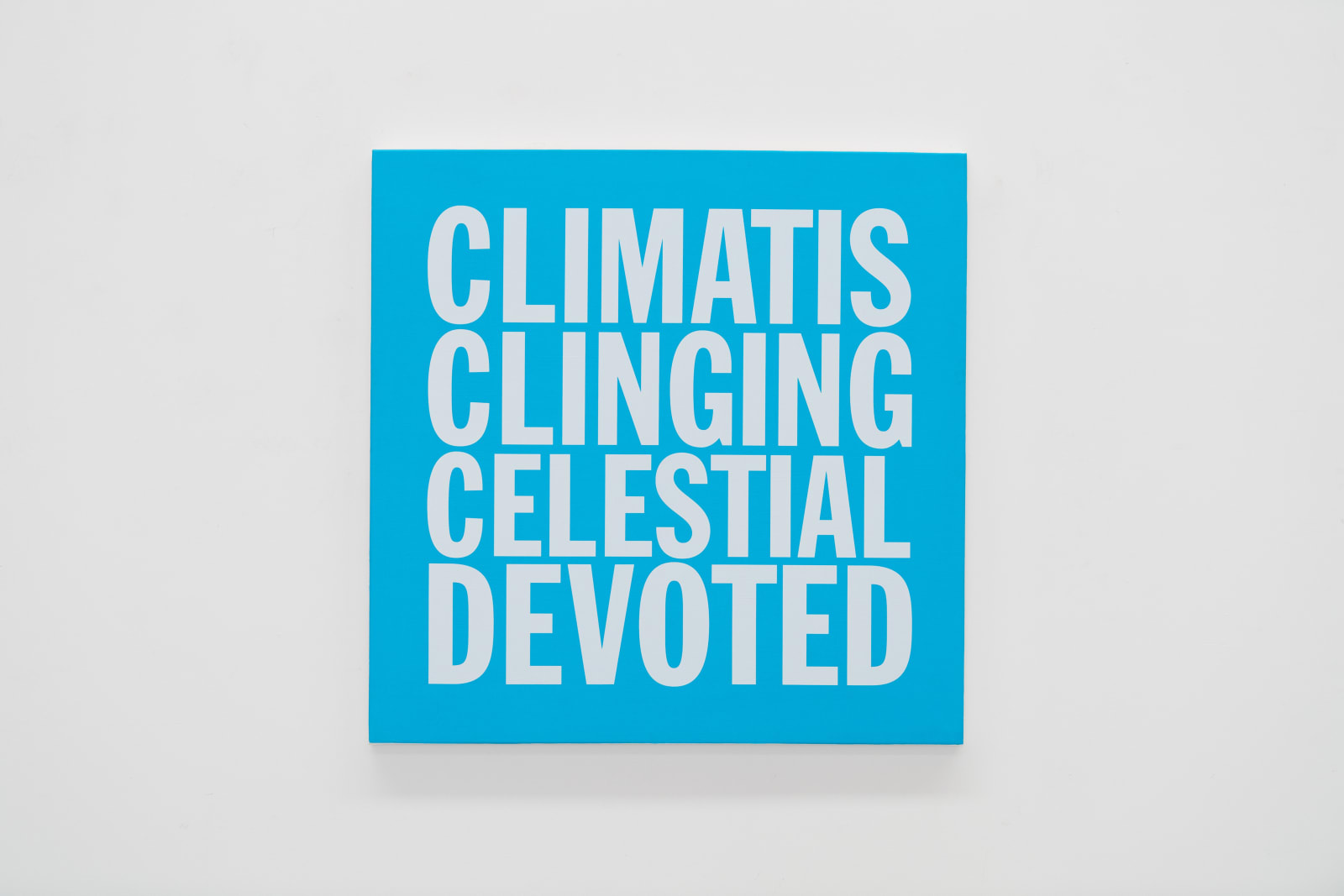 John Giorno, CLIMATIS CLINGING CELESTIAL DEVOTED, 2017-2023