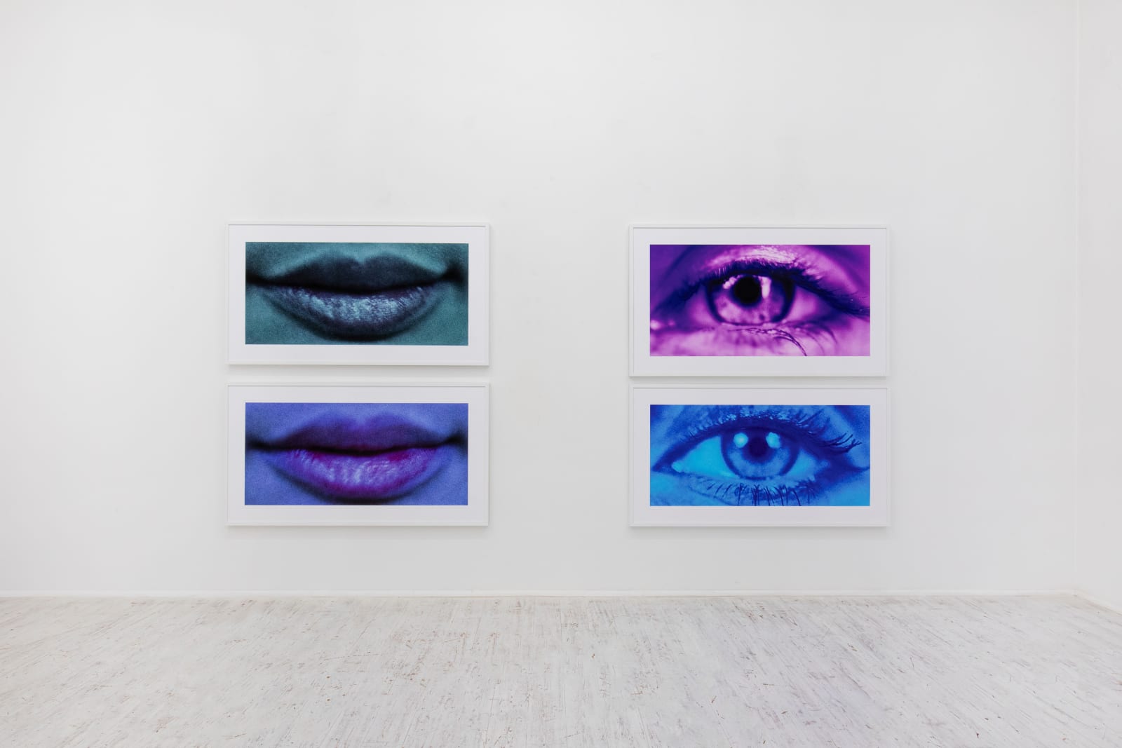 Sam Samore, BLUE PIA, 2025