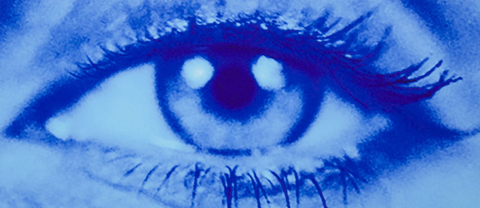 Sam Samore, BLUE PIA, 2025