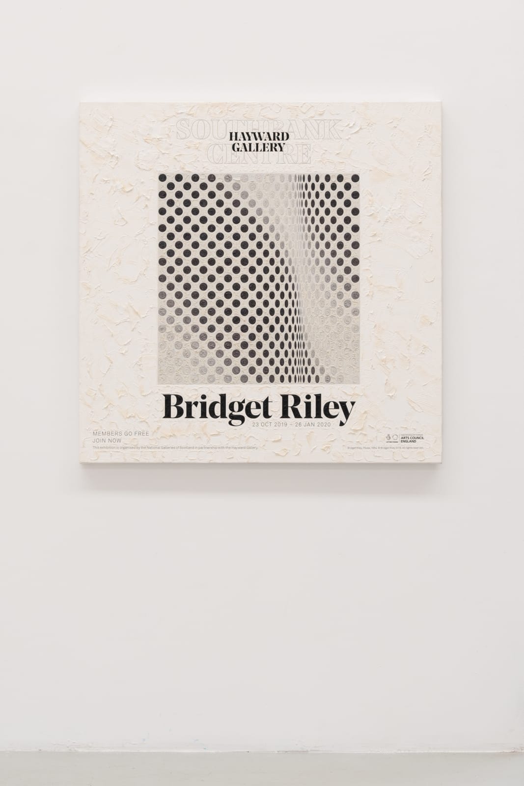 Simon Linke, Bridget Riley, 2020